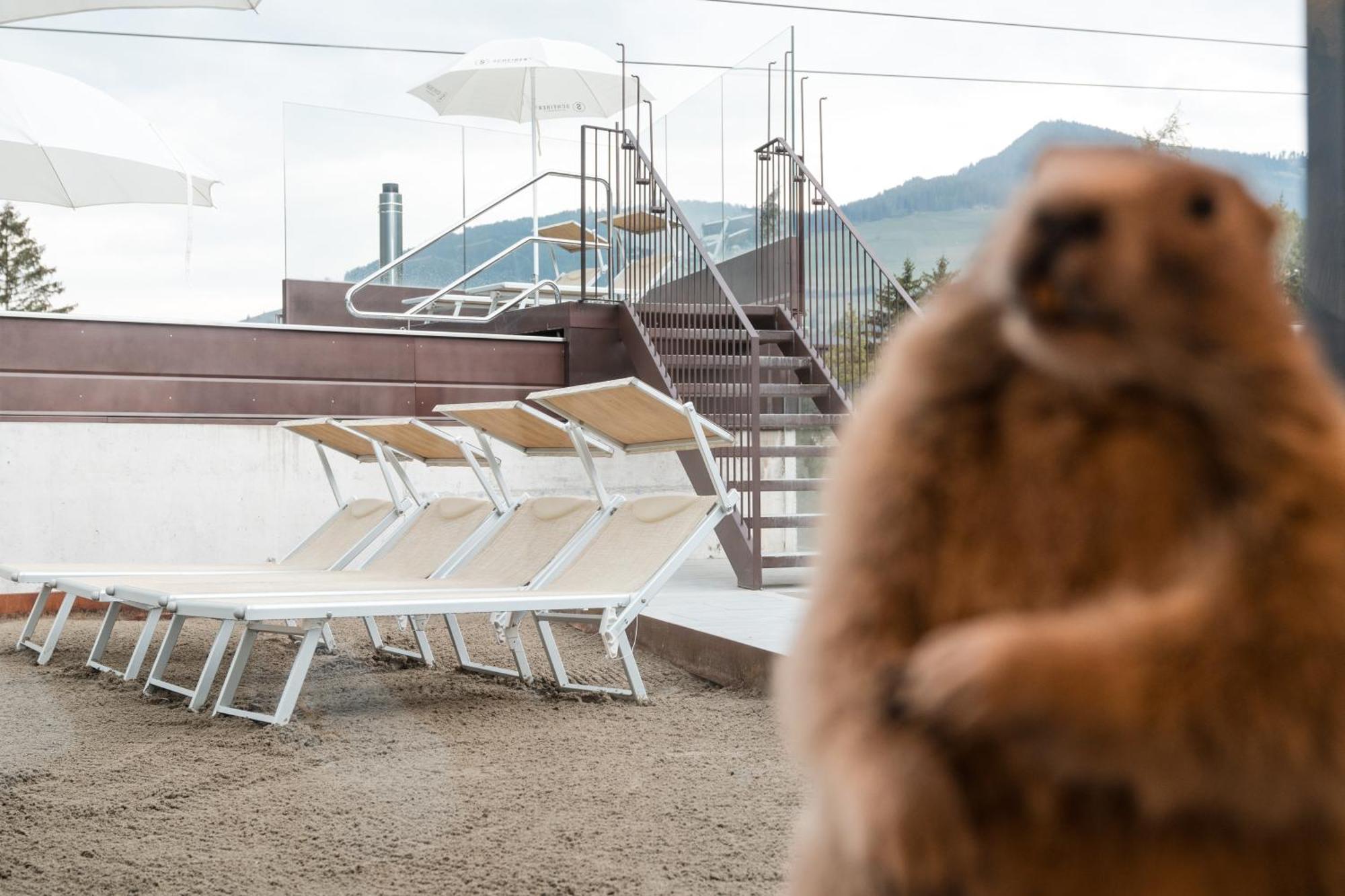 Al Plan, A Mountain Moving Hotel San Vigilio Di Marebbe Ngoại thất bức ảnh